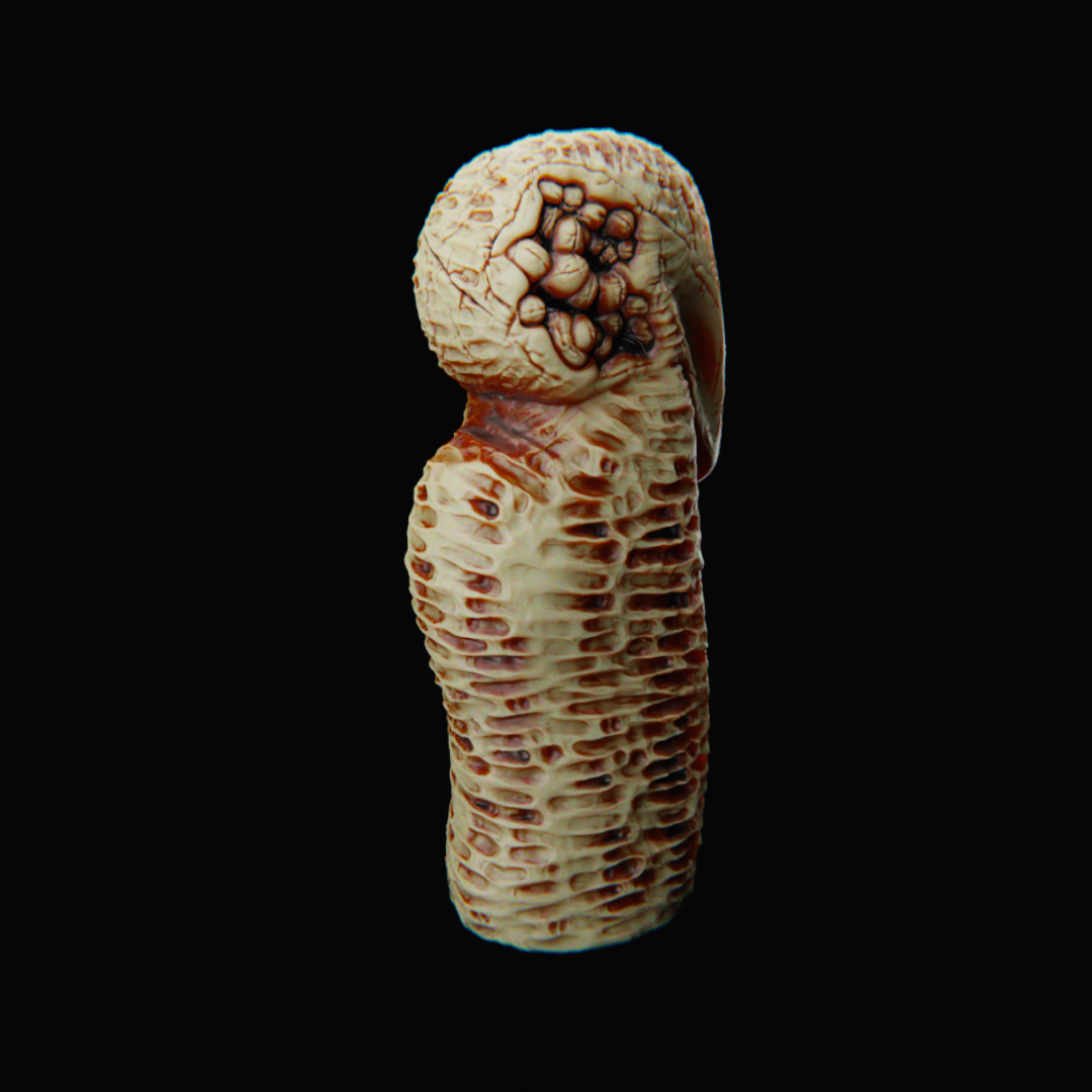 Tượng cổ bí ẩn từ nền văn minh đã mất