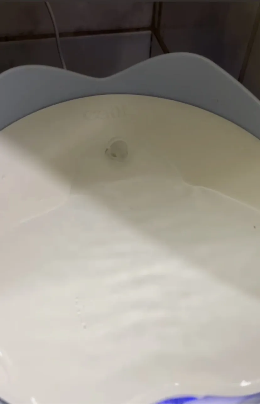 Vòi thay thế cho bình nước Catit Pix cho mèo