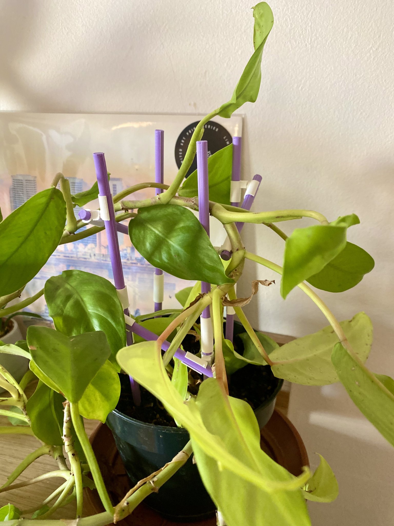 Giá đỡ cây leo mô-đun tùy chỉnh cho cây trồng