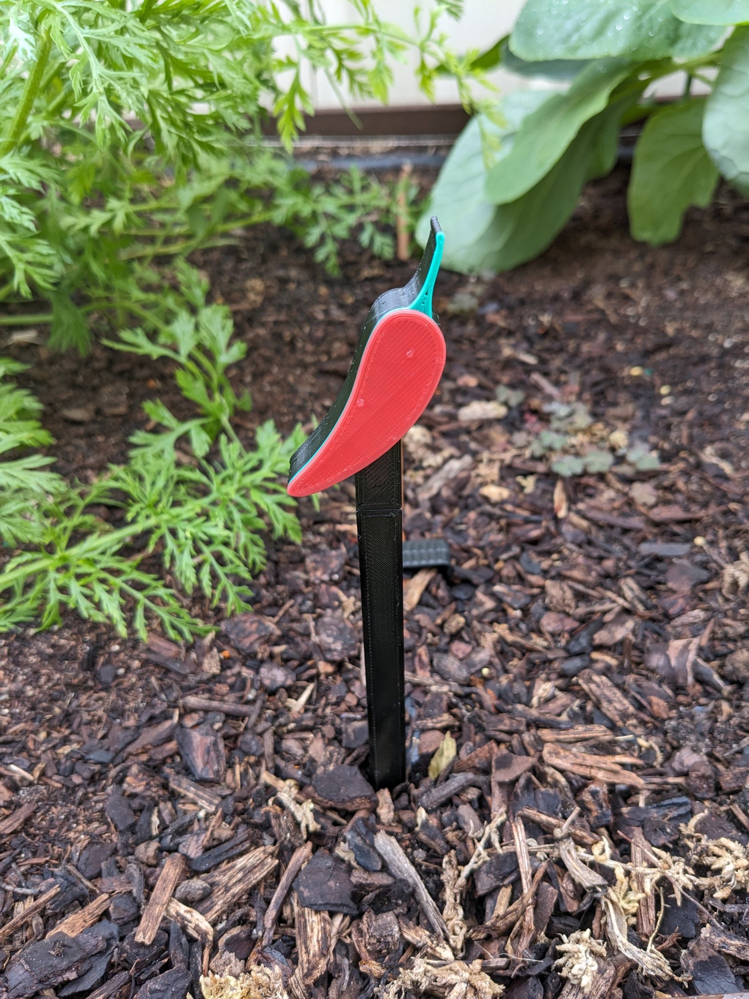 Biển đánh dấu rau quả ớt cho vườn rau