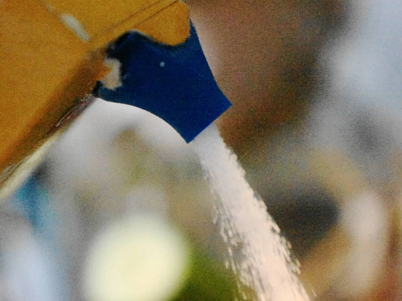 Vòi rót cho hàng hóa đóng gói bằng bìa cứng