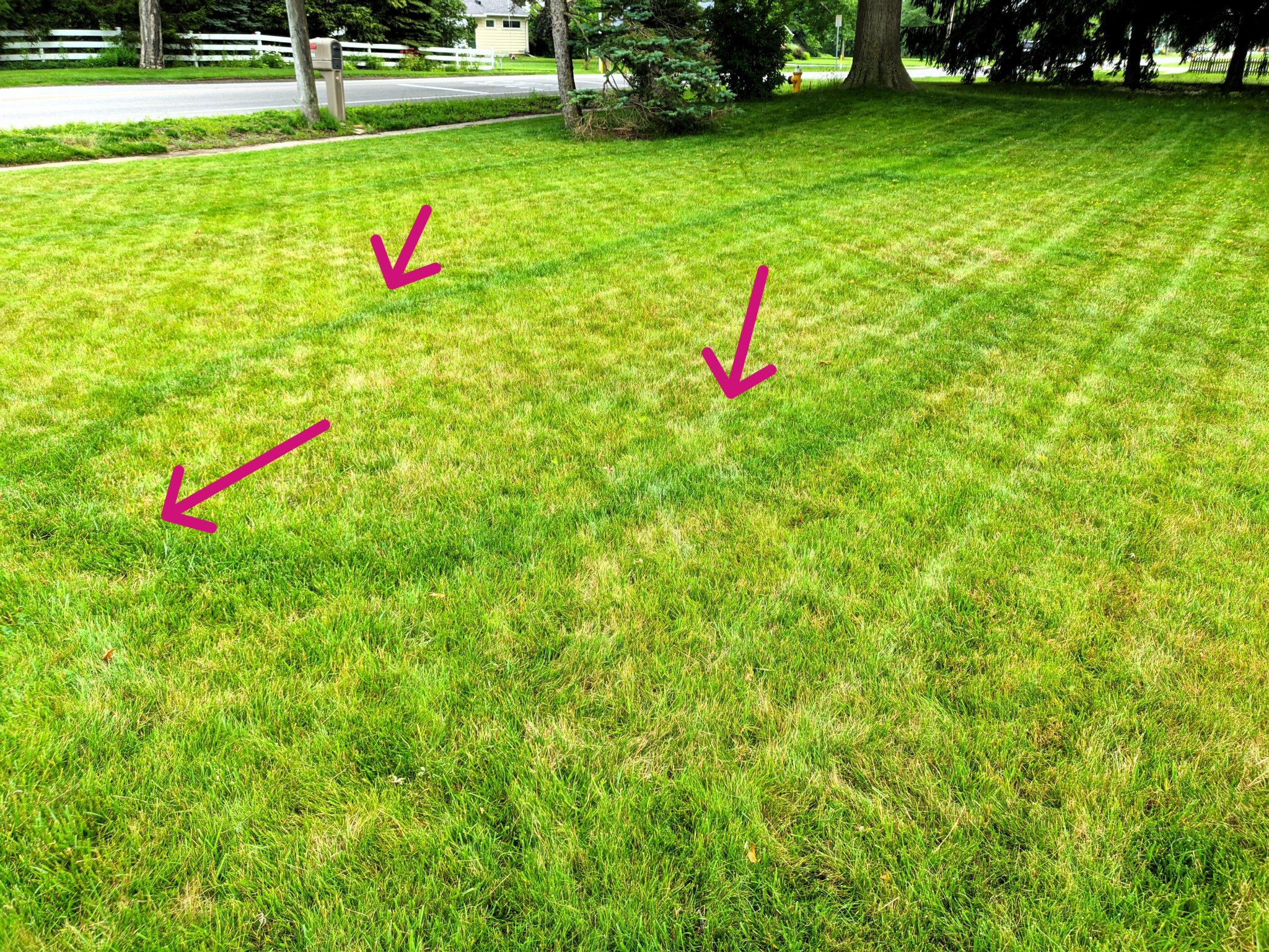 Bộ phụ kiện sửa chữa cho máy rải phân bón Scotts EdgeGuard Mini