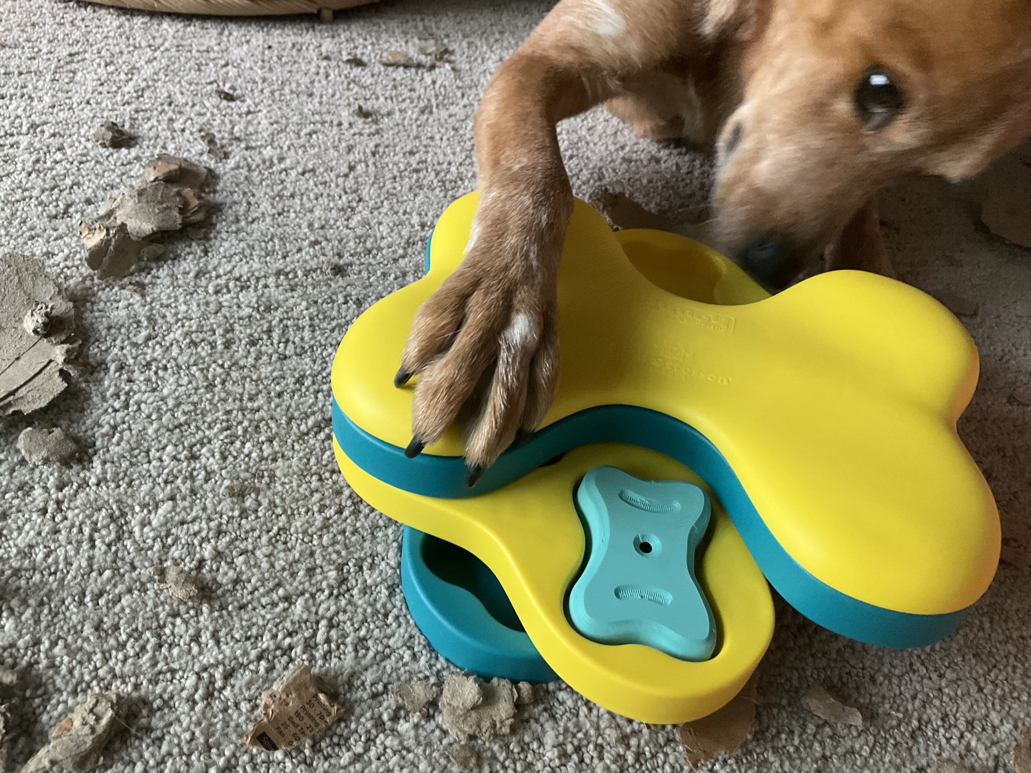 Các bộ phận thay thế cho đồ chơi chó tương tác giải đố của Nina Ottosson - xương, nắp "gạch chó"