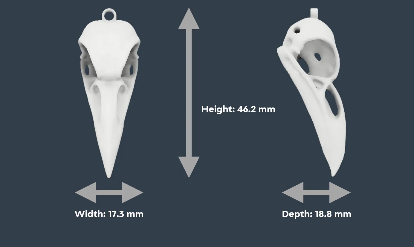 Bông tai và mặt dây chuyền đầu quạ cho Halloween