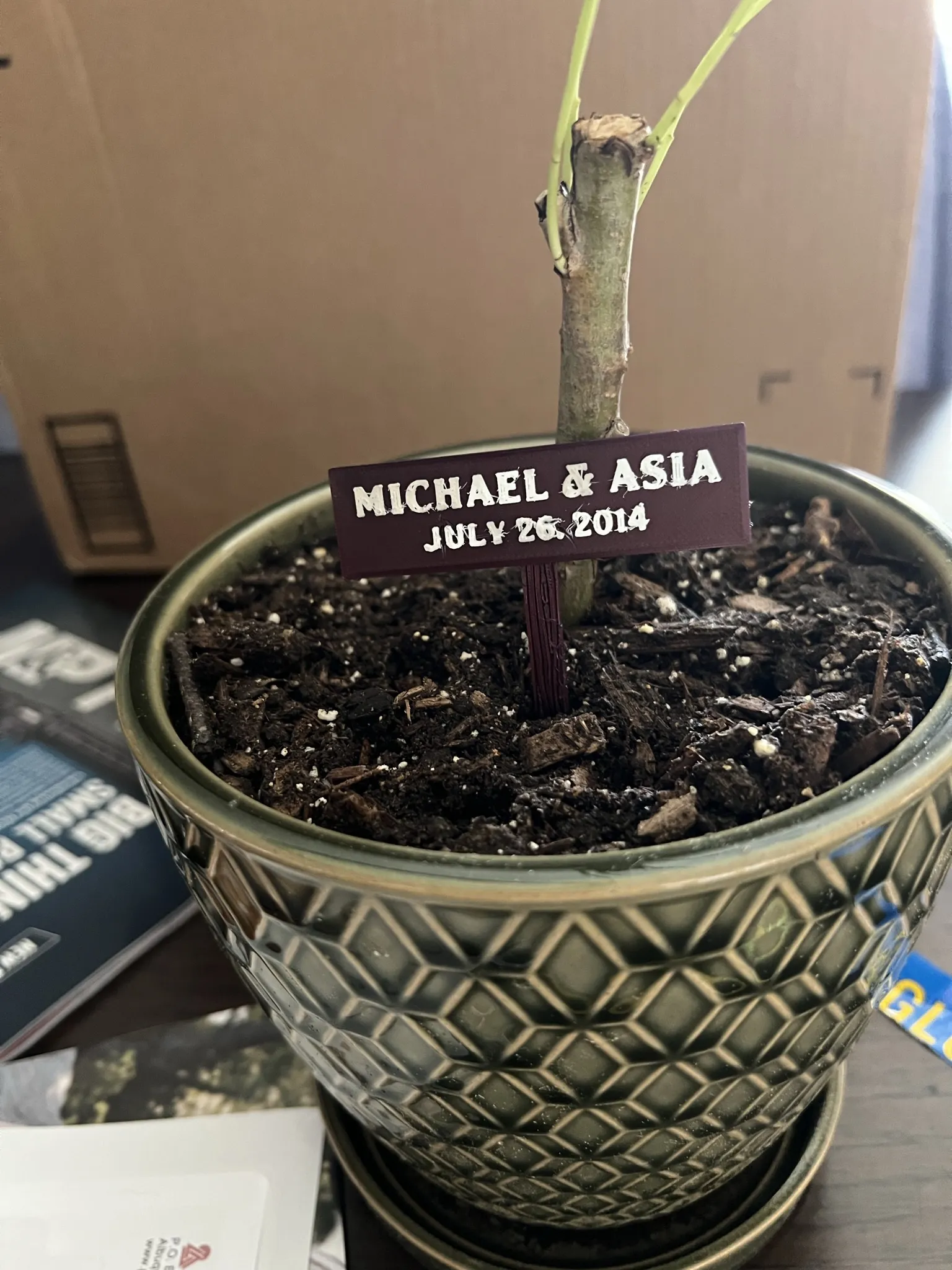 Biển hiệu gỗ trống đơn giản với chân đế vân gỗ