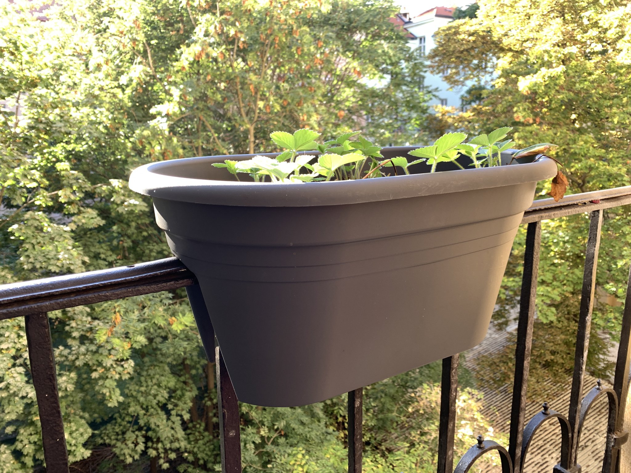 Giá đỡ chậu hoa cho lan can Parkside và Ebertsankey