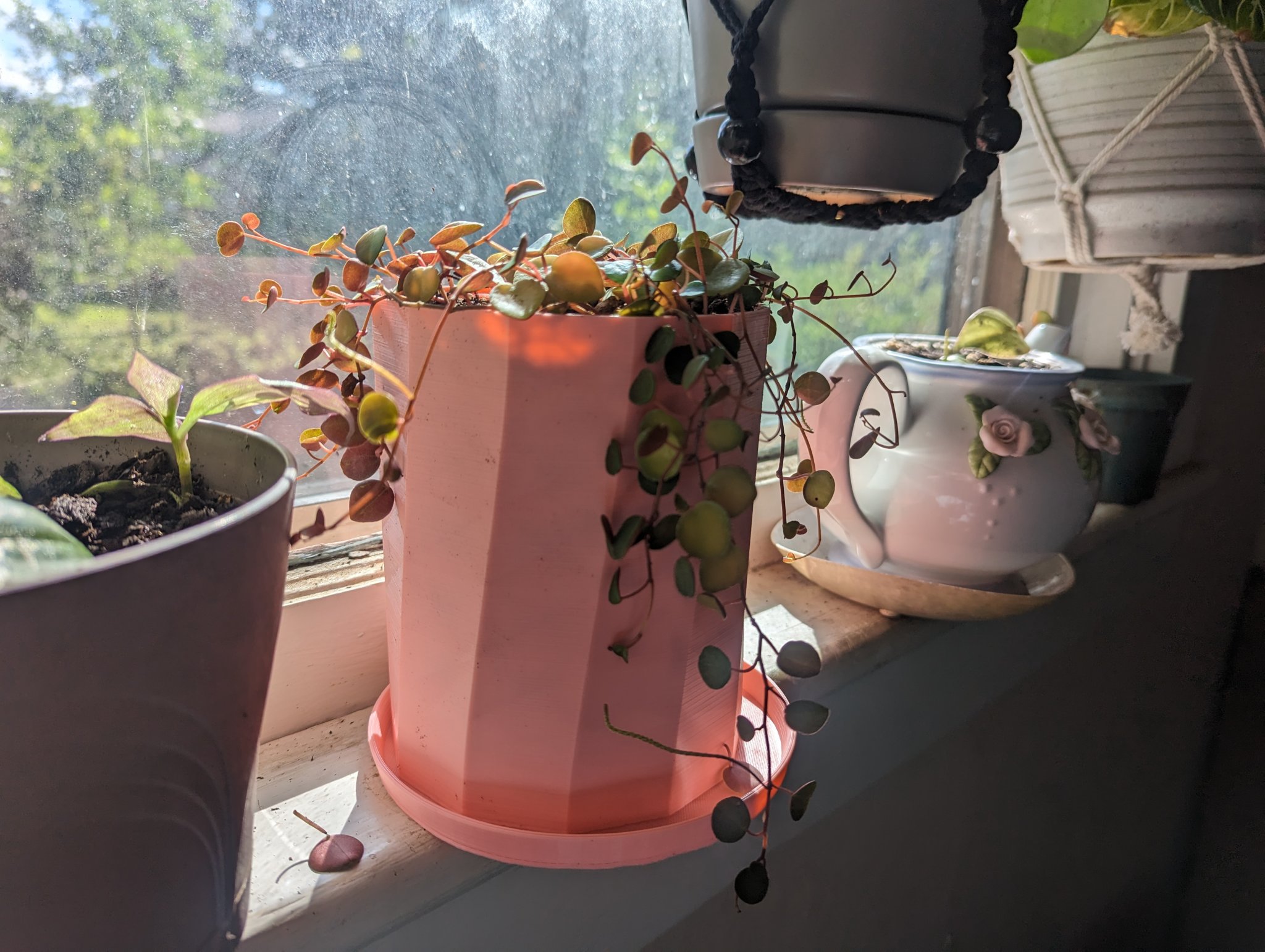 Chậu cây đơn giản và khay nhỏ giọt