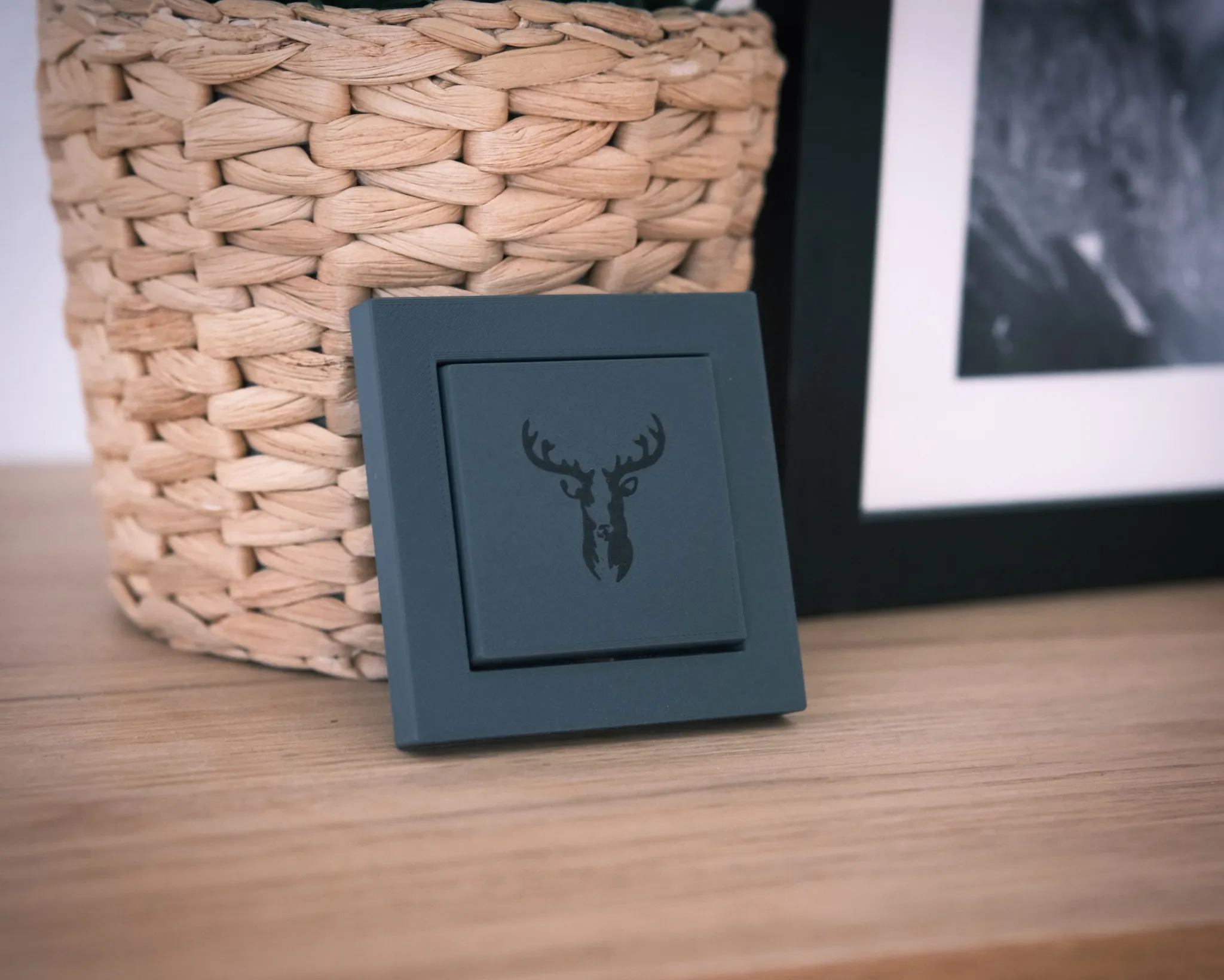 Công tắc Gira System 55 Rocker với thiết kế đa dạng