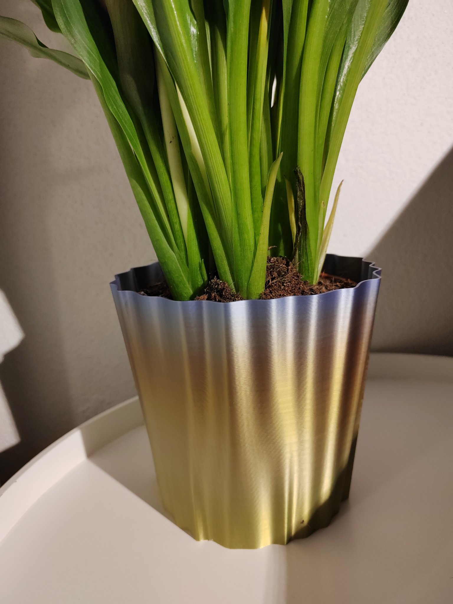 Thiết kế chậu hoa dễ in cho nhiều loại hoa