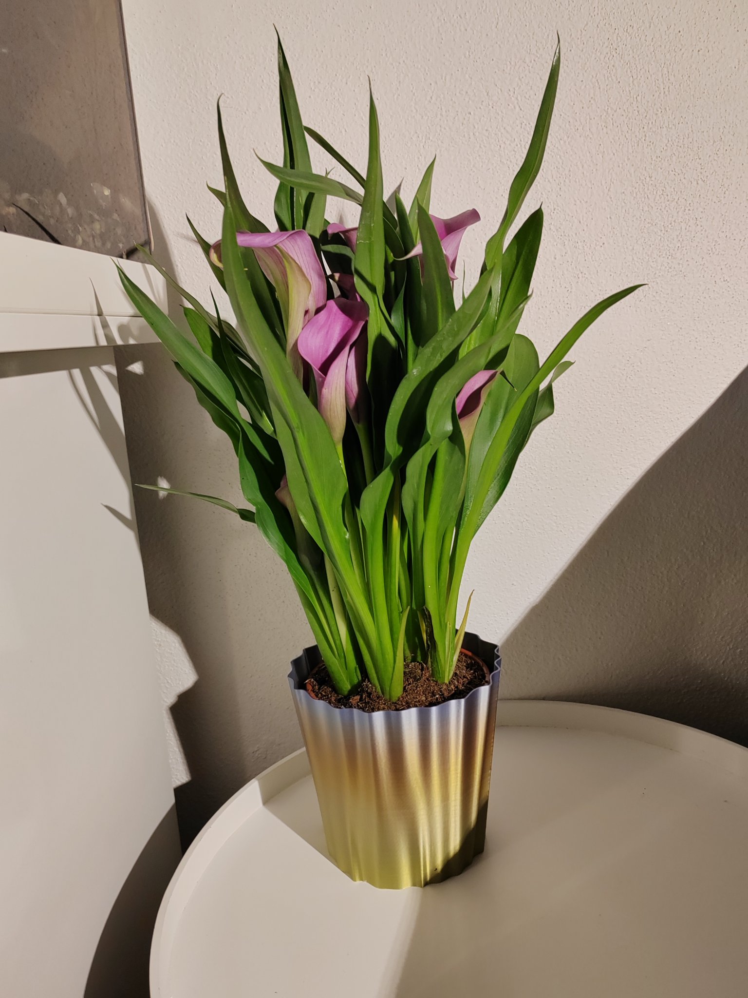 Thiết kế chậu hoa dễ in cho nhiều loại hoa