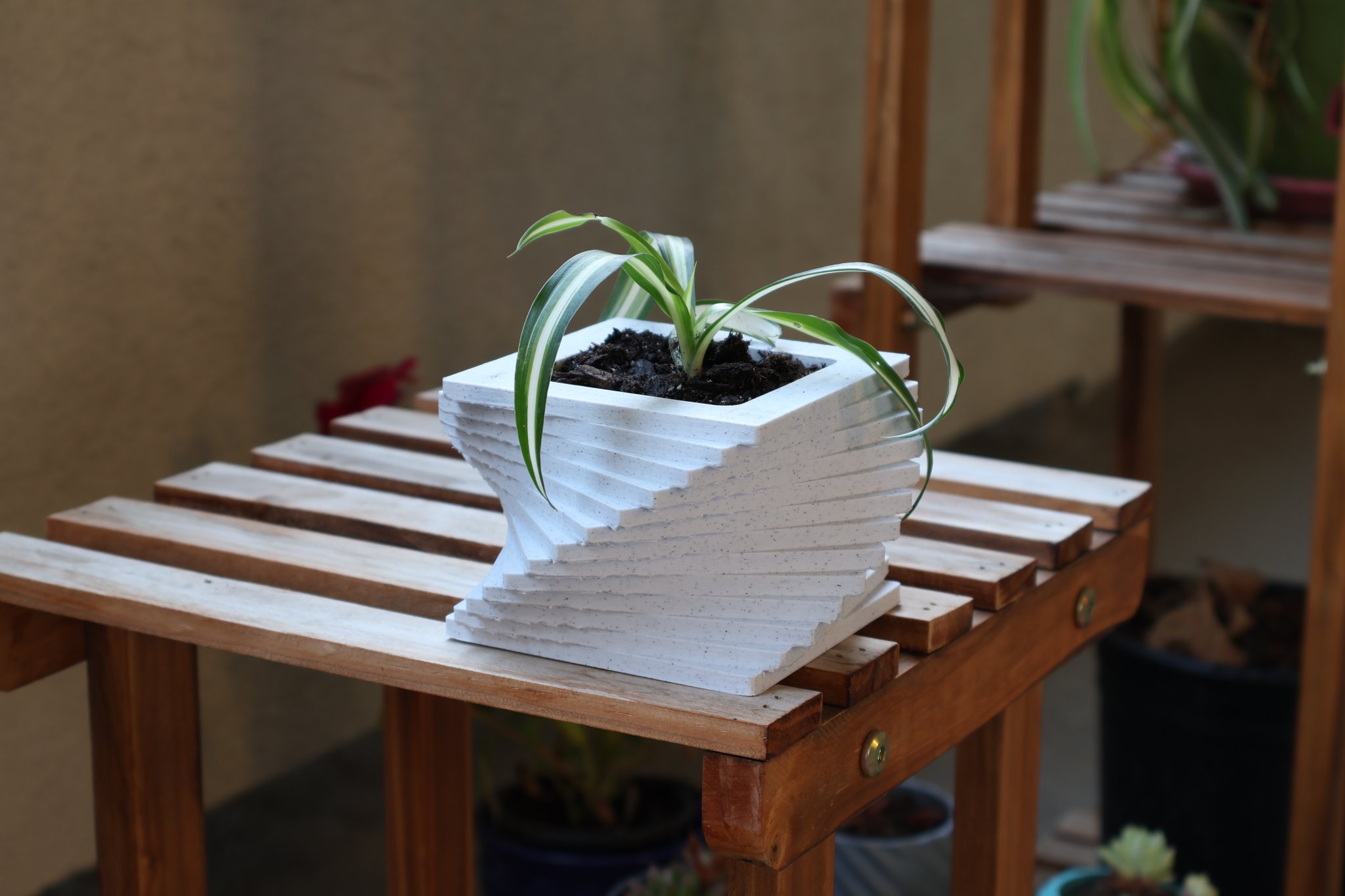 Chậu cây hình vuông xoắn độc đáo cho cây trồng