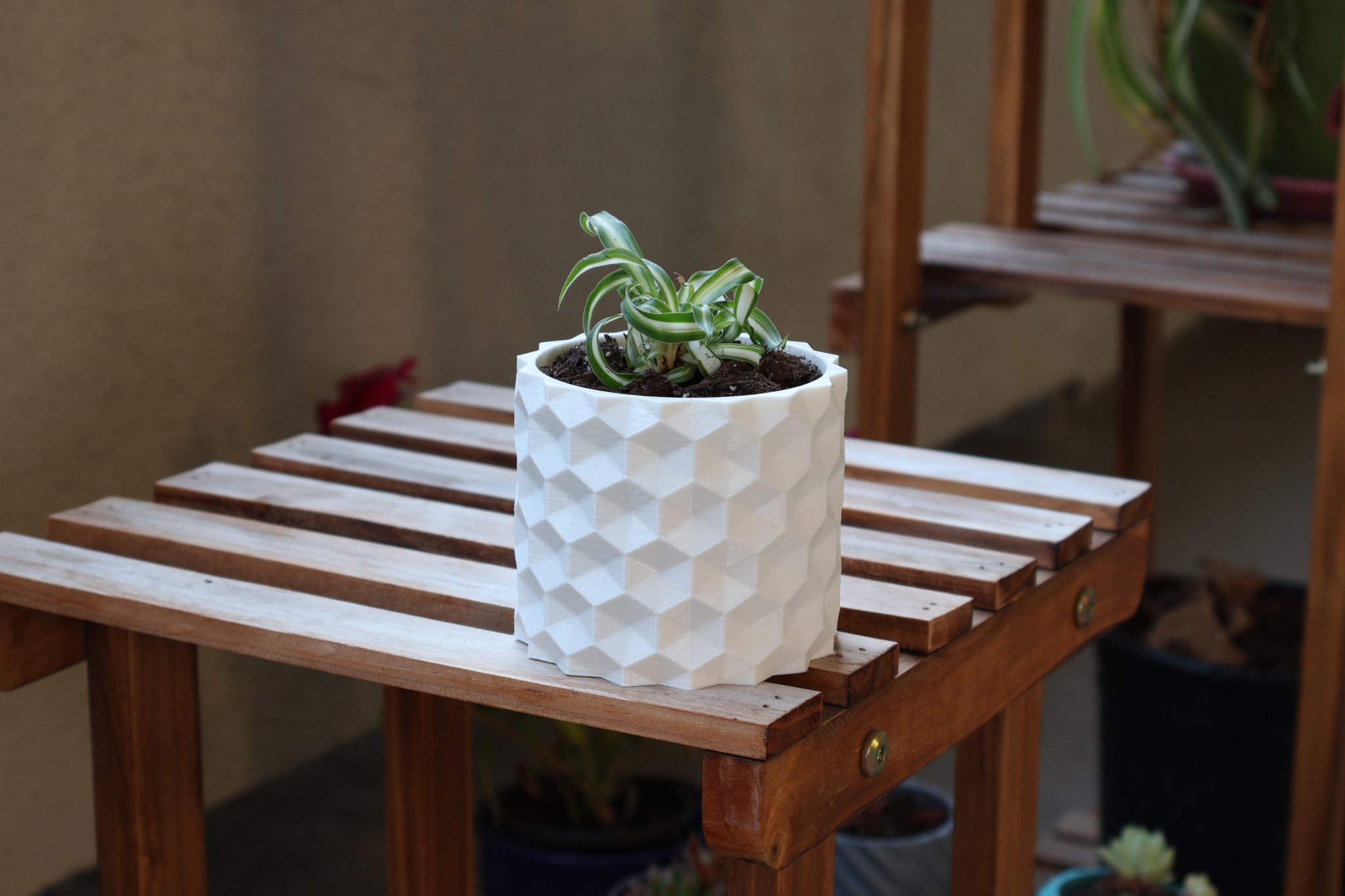 Chậu trồng cây hình lục giác ngược có lỗ thoát nước