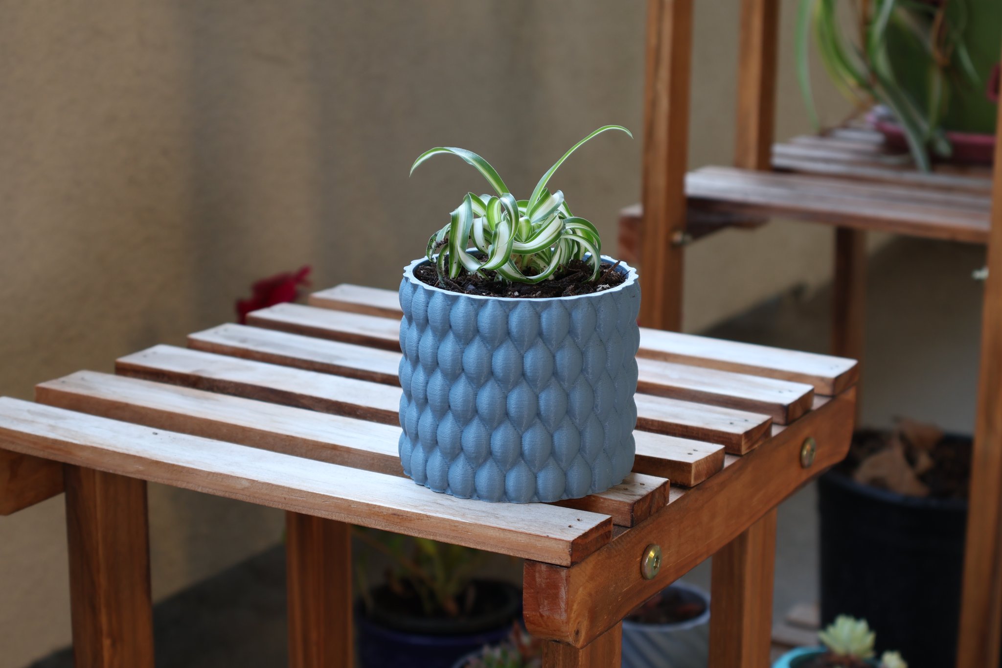 Chậu cây Bourbonic Tears có lỗ thoát nước