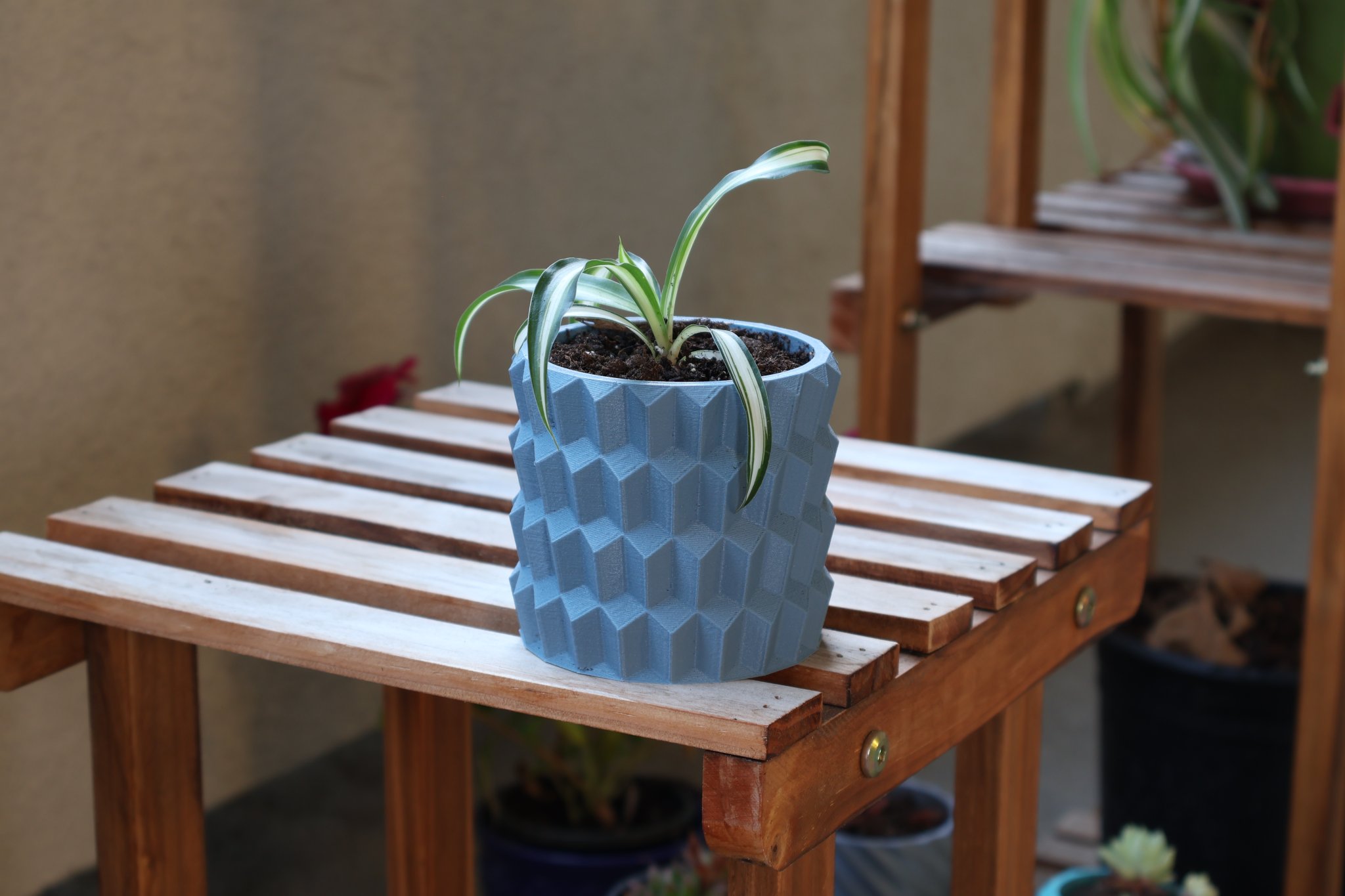 Chậu trồng cây đèn chùm pha lê có lỗ thoát nước