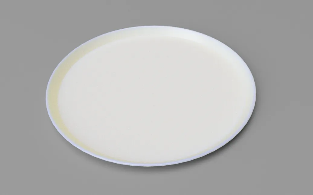 Đĩa tròn 100mm cho chậu hoa