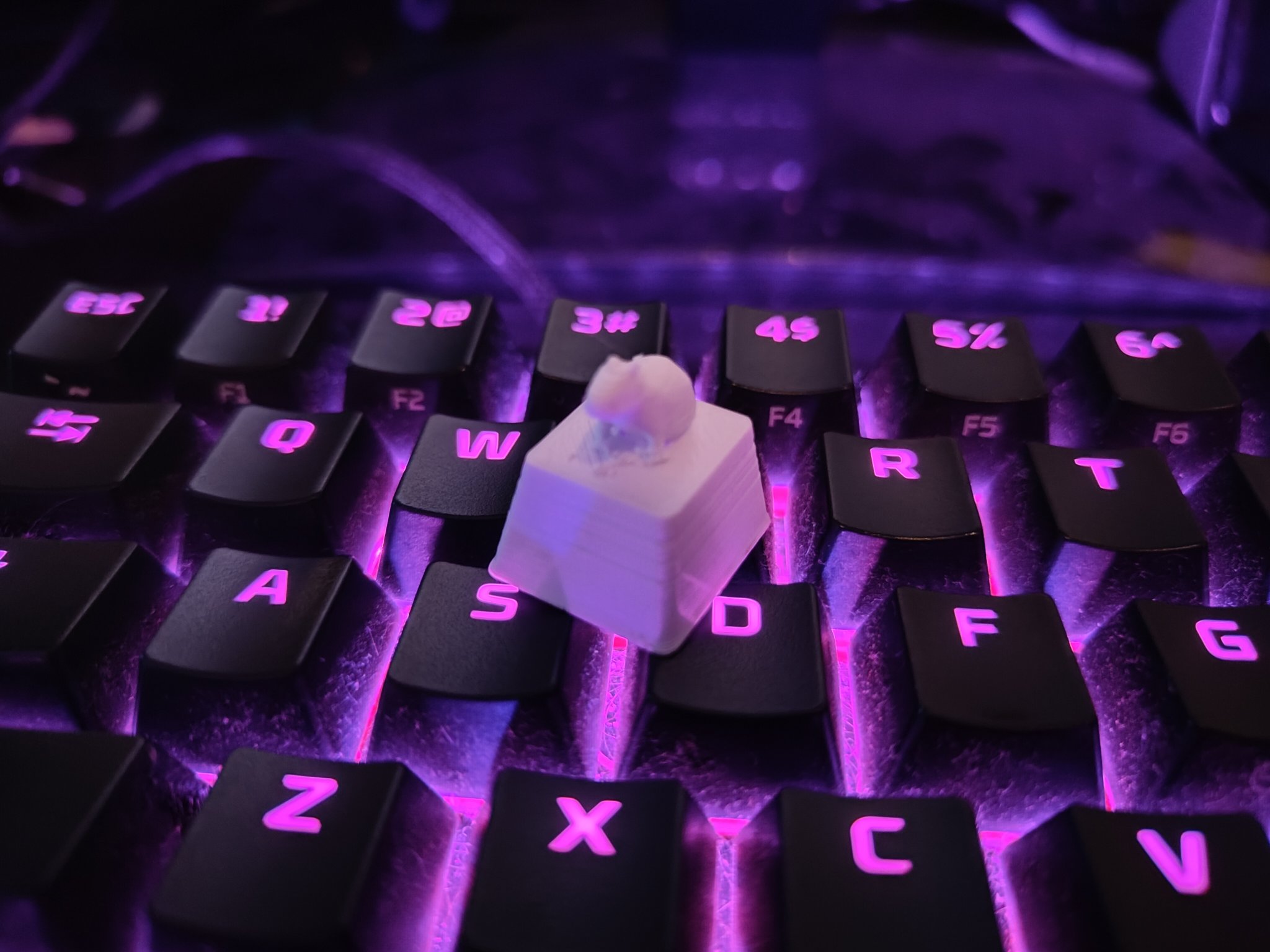 Nắp phím hình nhím nước cho bàn phím của bạn