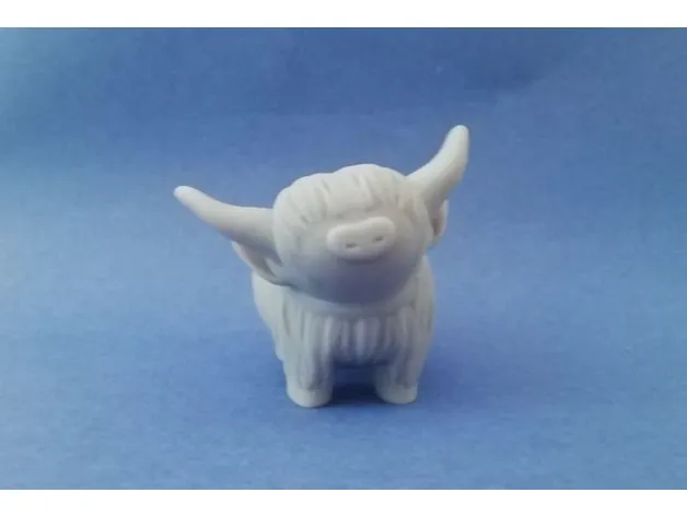 Bò cao nguyên con dễ thương trẻ tuổi