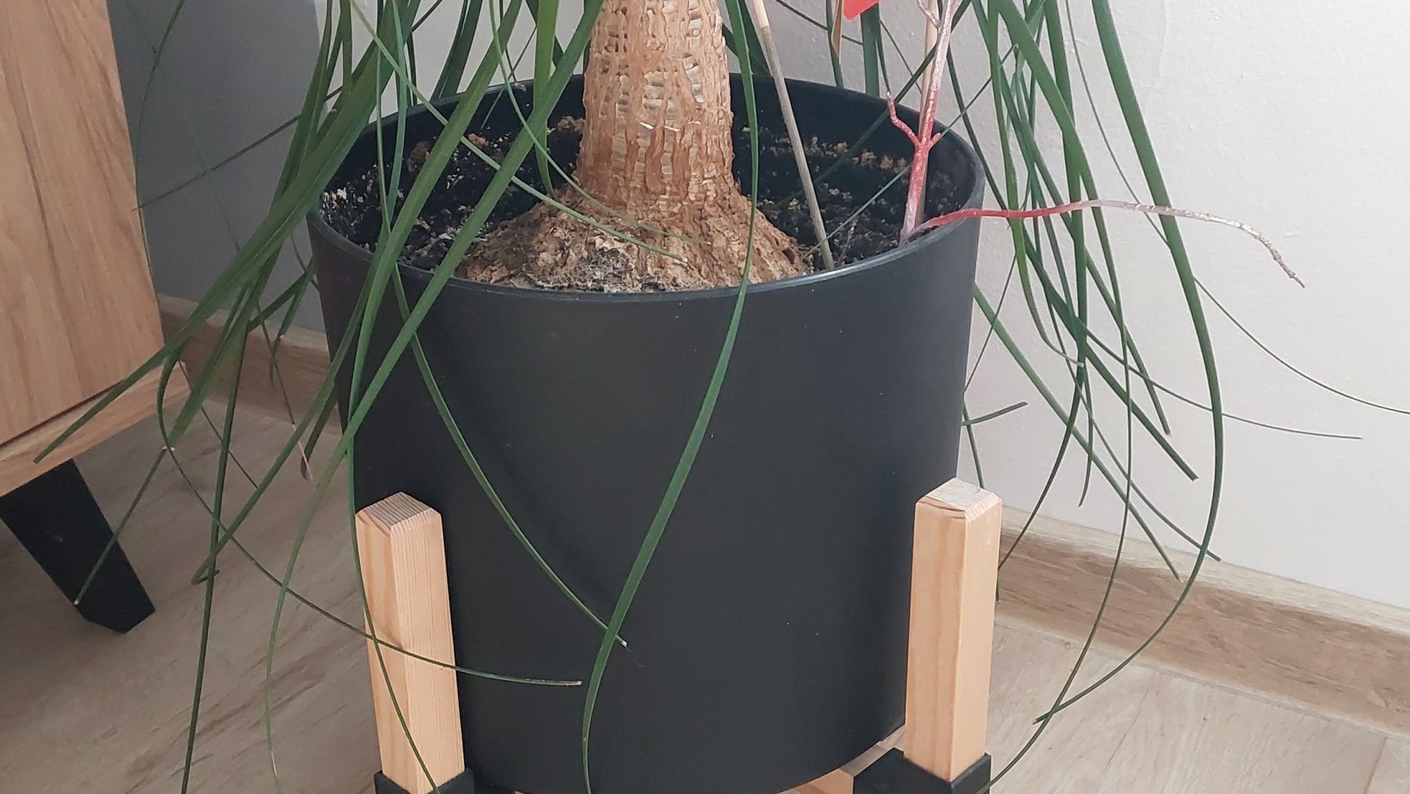 Giá đỡ chậu hoa bằng gỗ thông 20x20mm