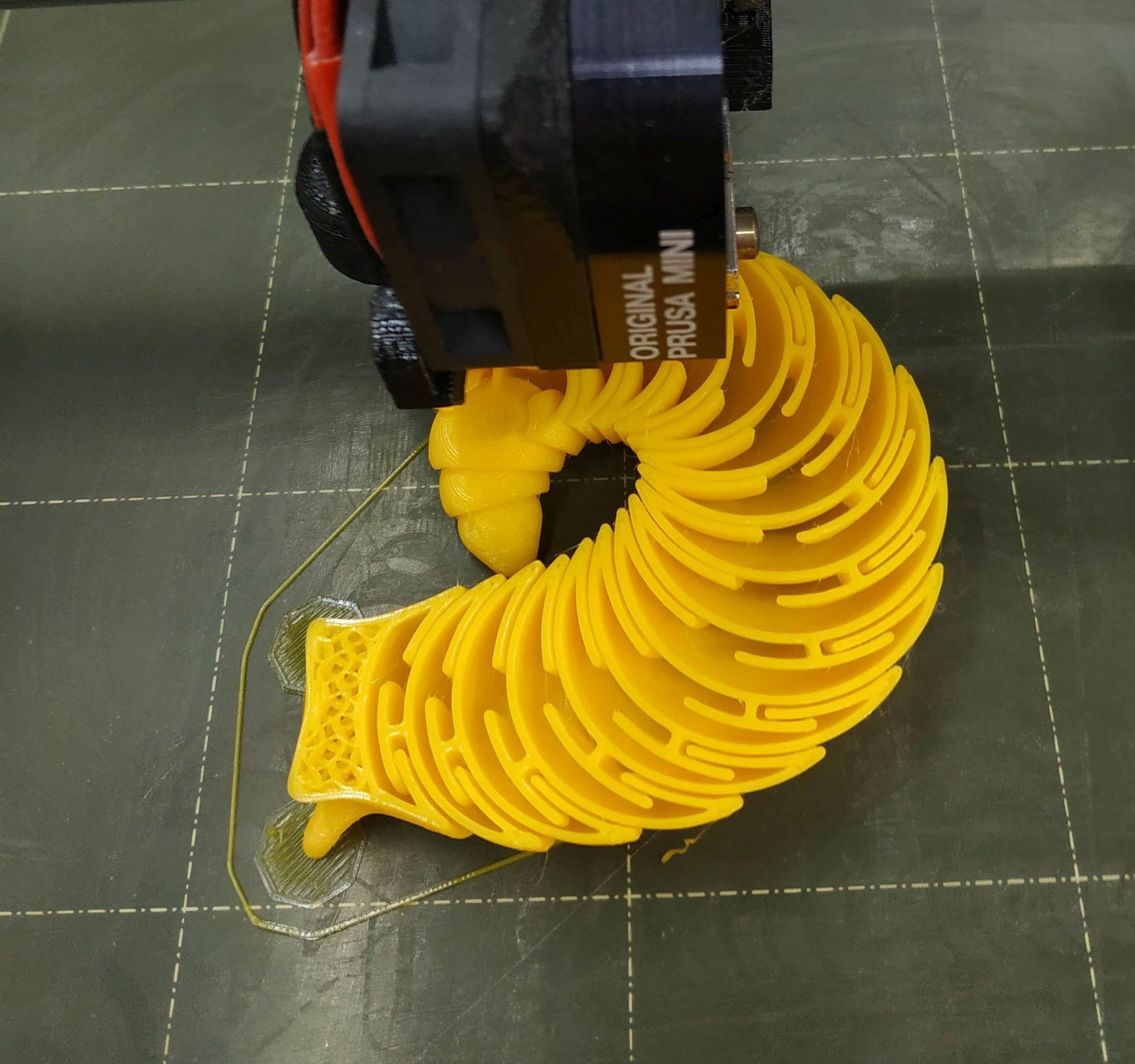 Ốc sên thân thiện cuộn tròn nghệ thuật khổng lồ