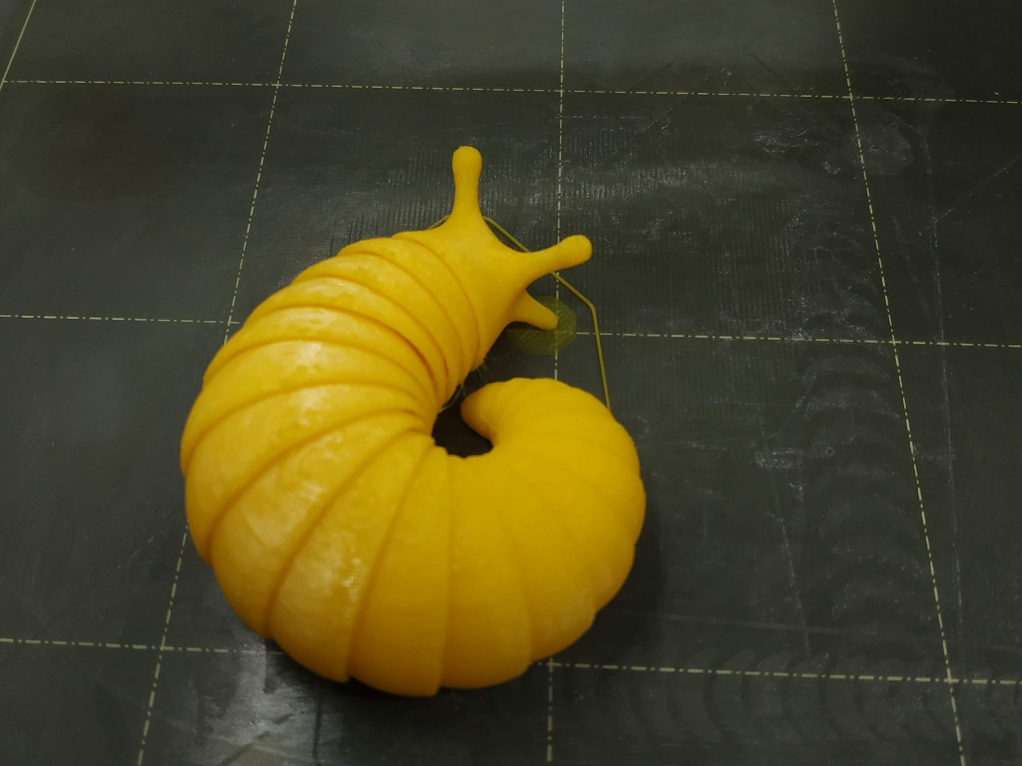 Ốc sên thân thiện cuộn tròn nghệ thuật khổng lồ