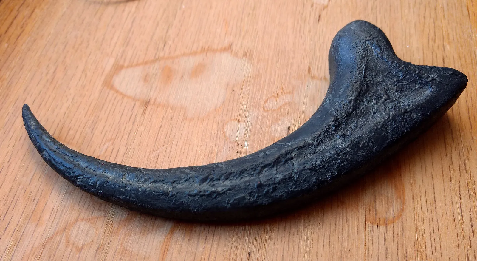 Móng vuốt Velociraptor của Alan Grant với chốt căn chỉnh