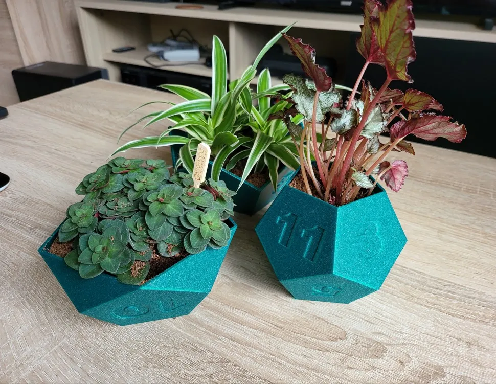 Bộ chậu cây hình xúc xắc cho trò chơi bàn RPG