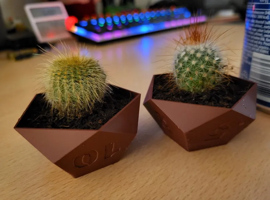 Bộ chậu cây hình xúc xắc cho trò chơi bàn RPG