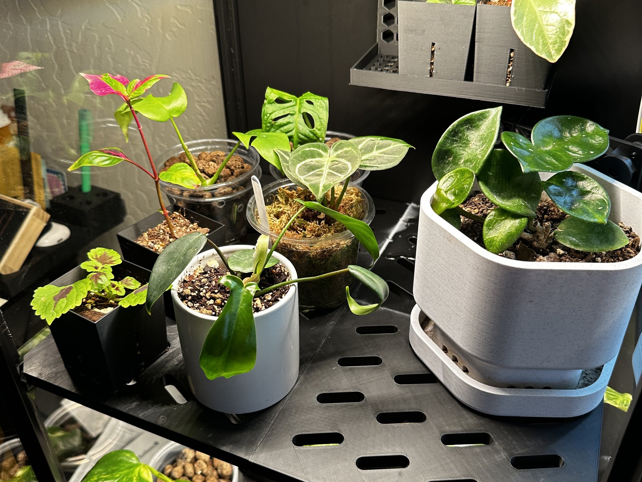 Giá đỡ cây cao Ikea Rudsta có lỗ thông gió