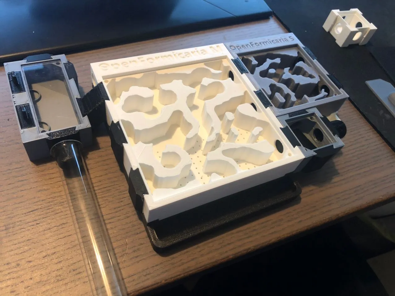 Nền tảng nhà ở kiến modular OpenFormicaria cho kiến