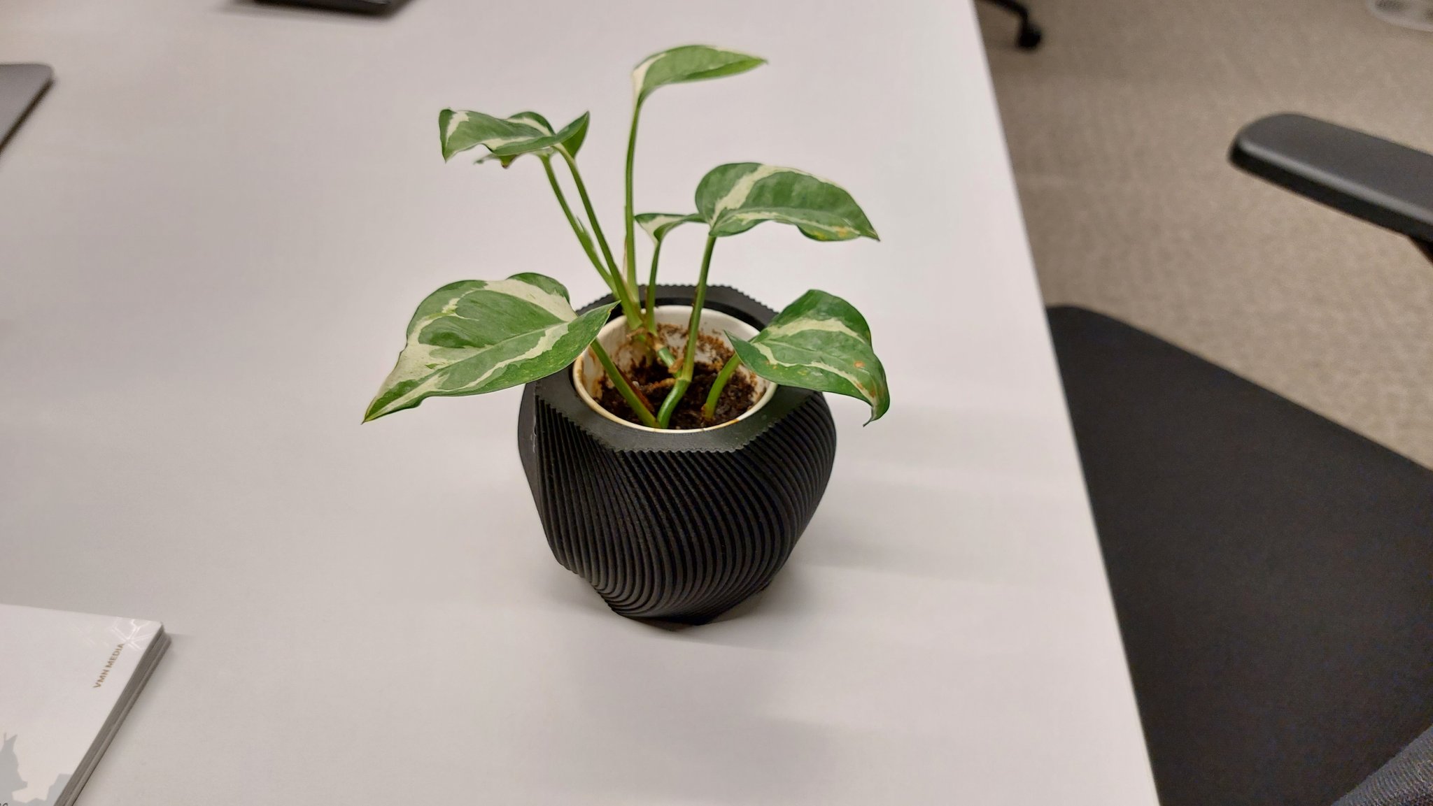 Chậu cây hình lục giác xoắn hiện đại có họa tiết bong bóng