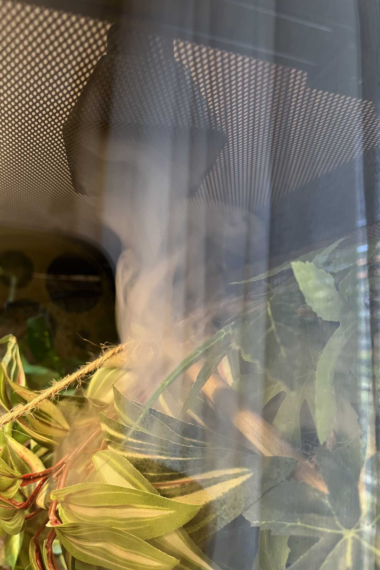 Mở rộng vòi phun sương cho thùng nuôi bò sát