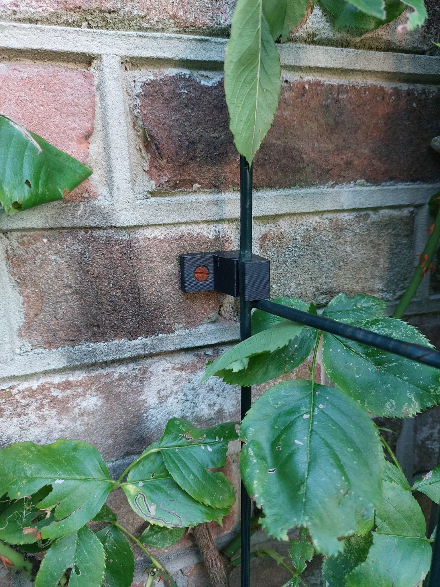 Giá đỡ khung cây bền bỉ cho khu vườn ngoài trời