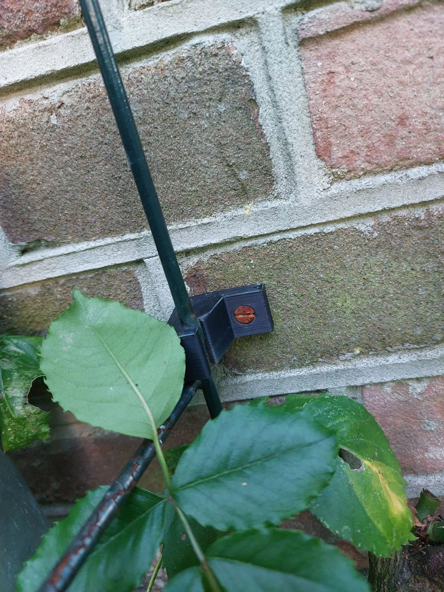 Giá đỡ khung cây bền bỉ cho khu vườn ngoài trời