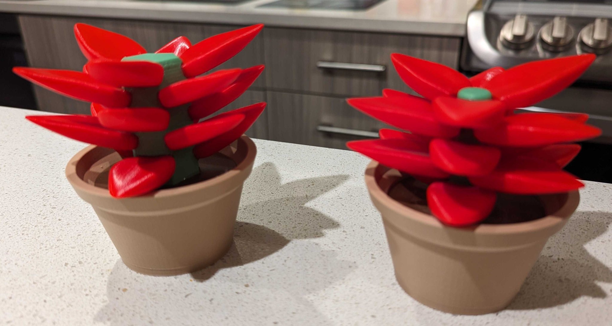 Cây xương rồng giả không cần tăm tre