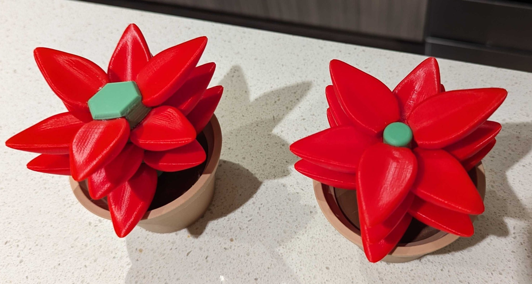 Cây xương rồng giả không cần tăm tre