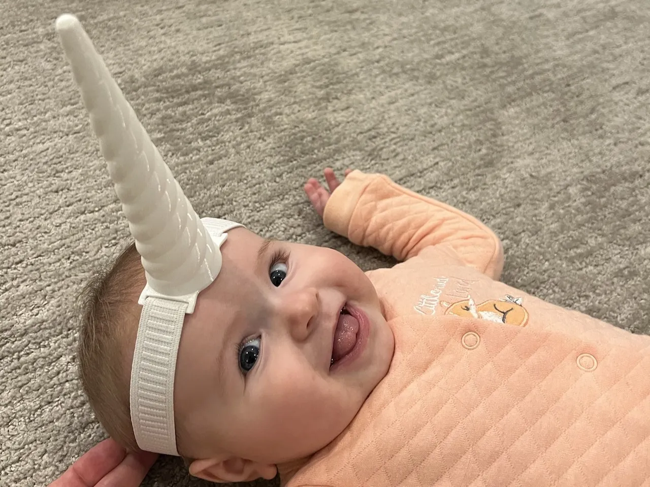 Sừng kỳ lân và cá voi một sừng cho lễ hội Halloween