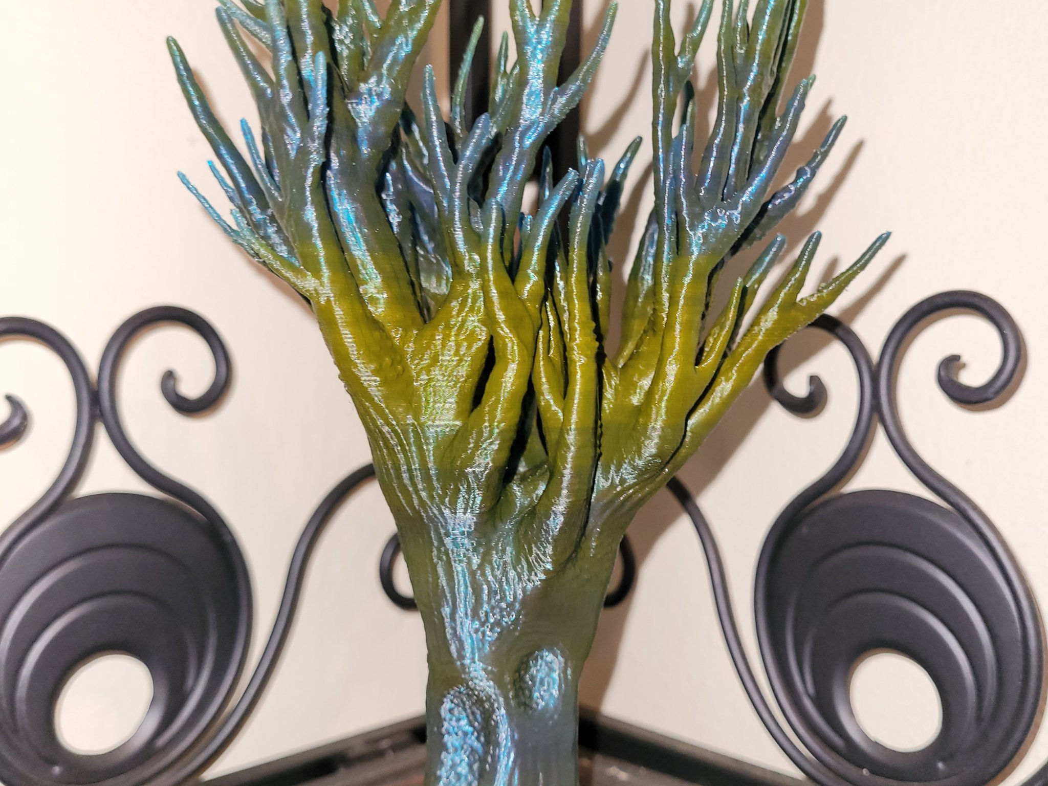 Cây đầm lầy xù xì không còn lá và cành