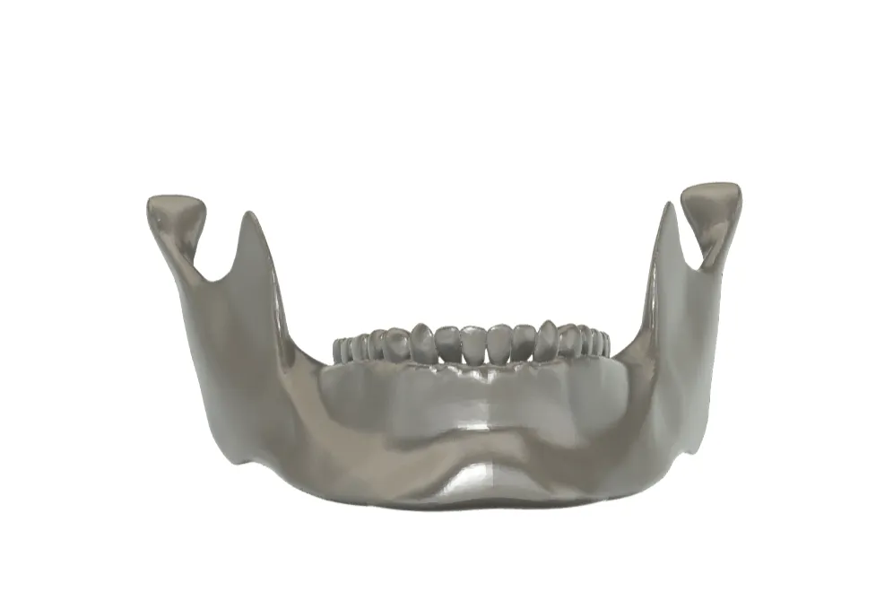 Giải phẫu hàm dưới người - Mô hình in 3D