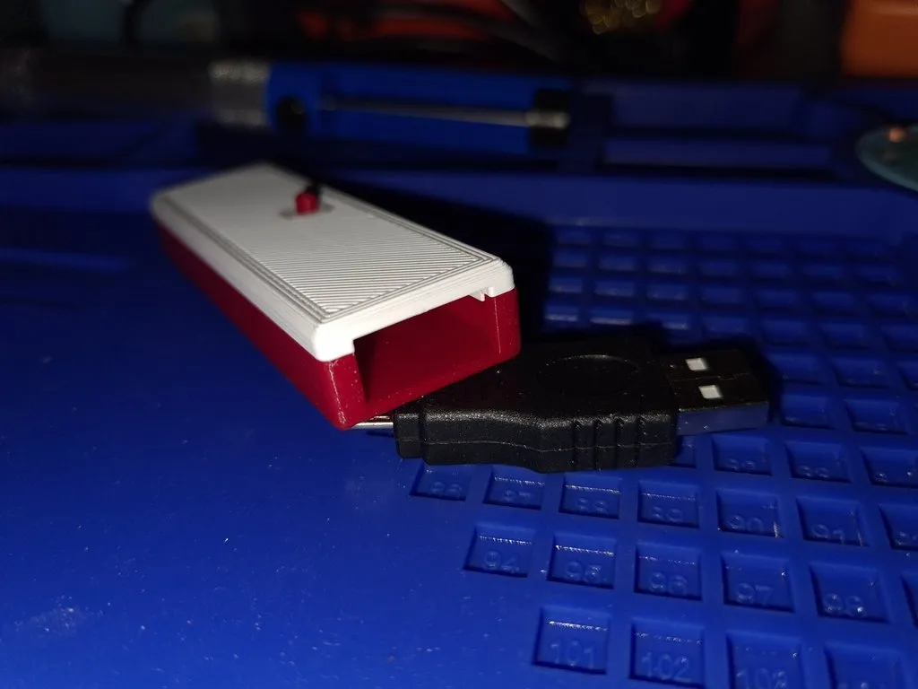 Vỏ bảo vệ Raspberry Pico và bộ chuyển đổi micro USB sang USB A