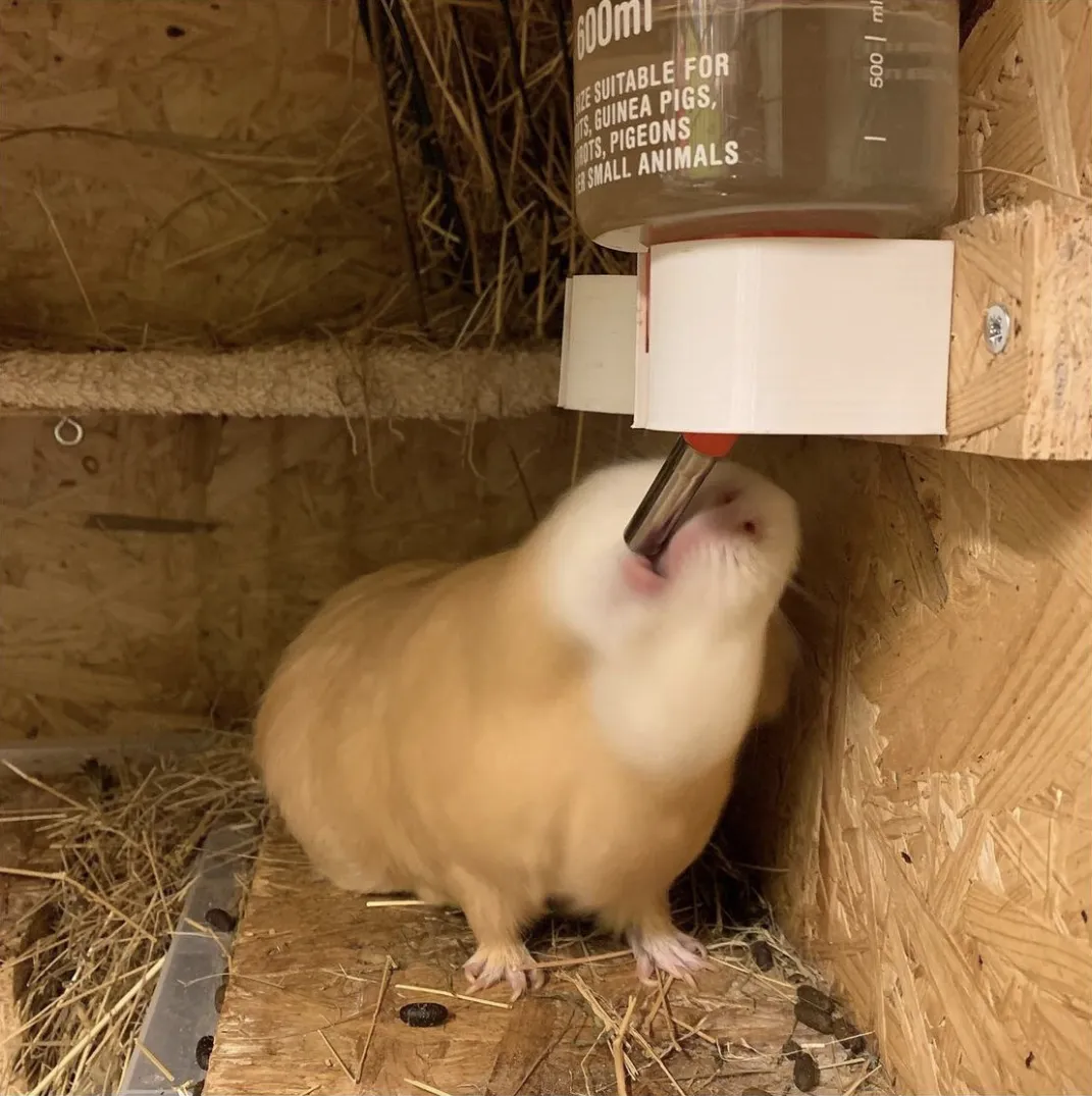 Giá đỡ bình nước cho chuột và thú cưng De Luxe d41,5 mm