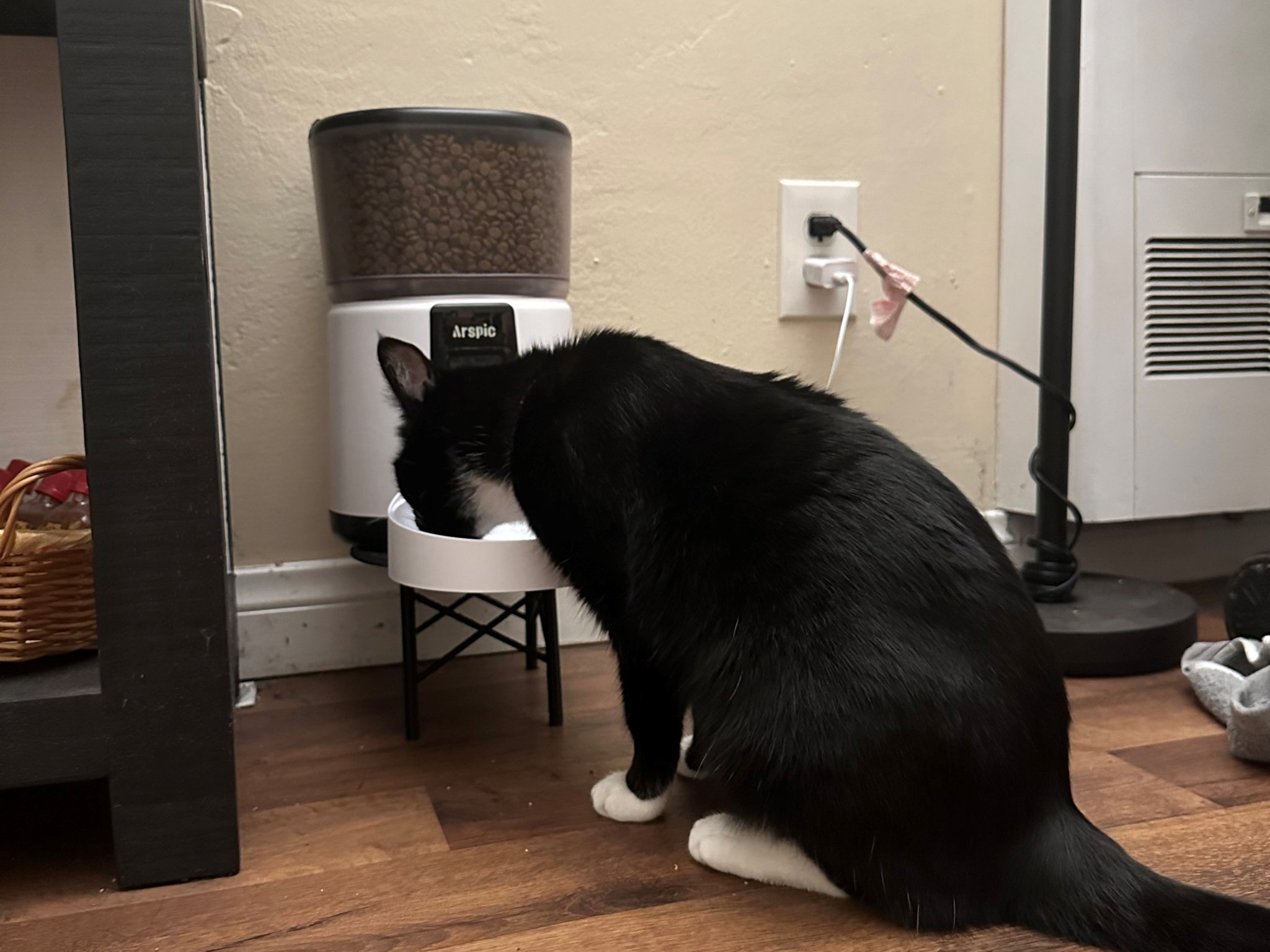 Bát ăn cho mèo với giá đỡ tiện lợi