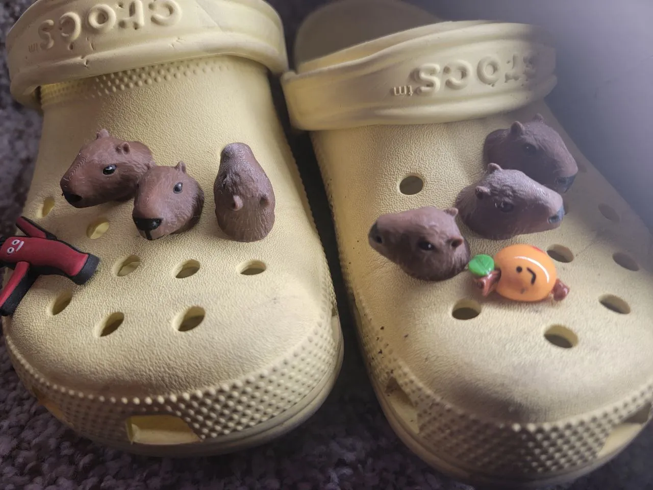 Jibbitz hình chú lửng cho giày Crocs