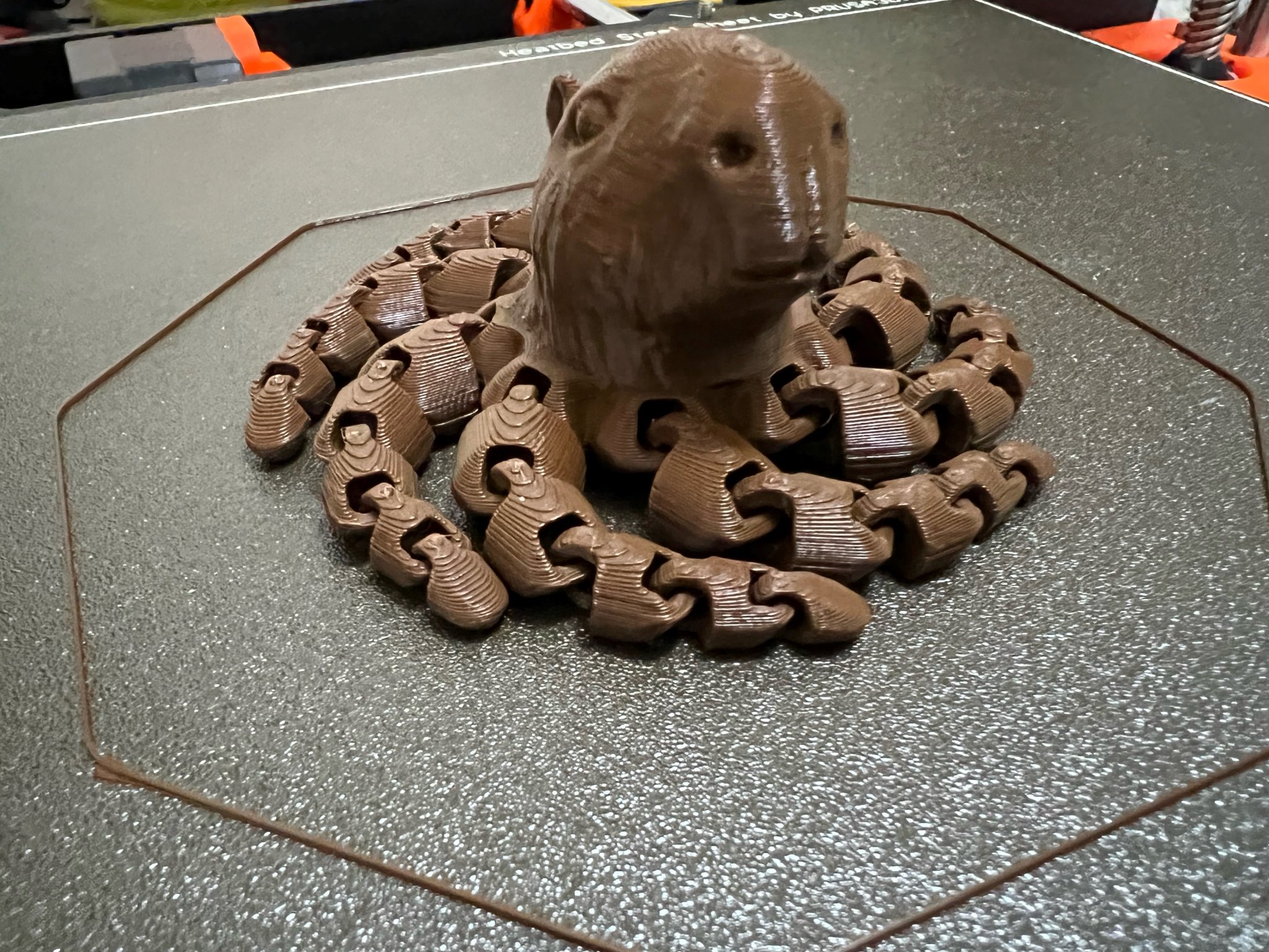 Capypus - Sự kết hợp giữa capybara và bạch tuộc