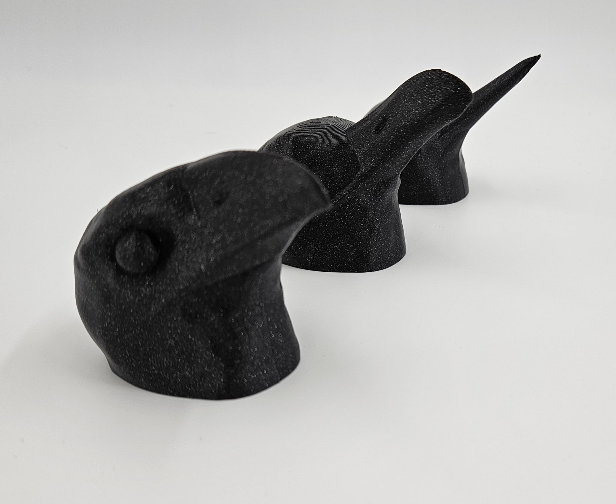 Bộ sưu tập đầu chim với các mỏ khác nhau cho người khiếm t...