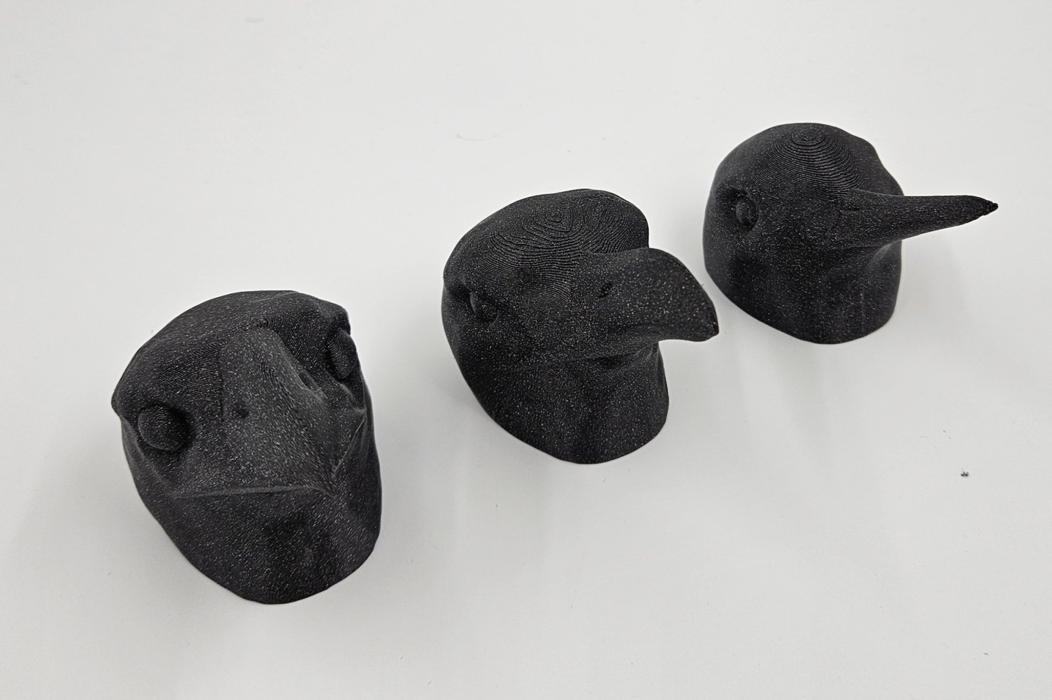 Bộ sưu tập đầu chim với các mỏ khác nhau cho người khiếm t...