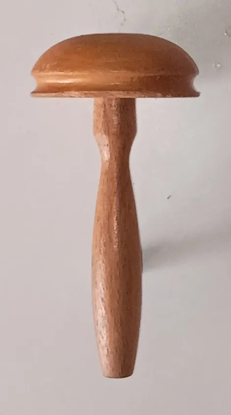 Nấm trên chân đế cao
