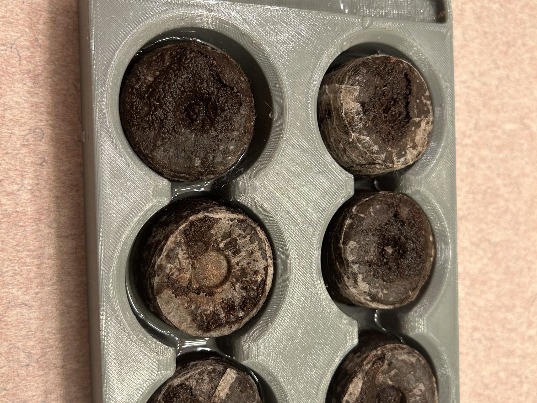 Khay gieo hạt thủy canh cho giường Mini