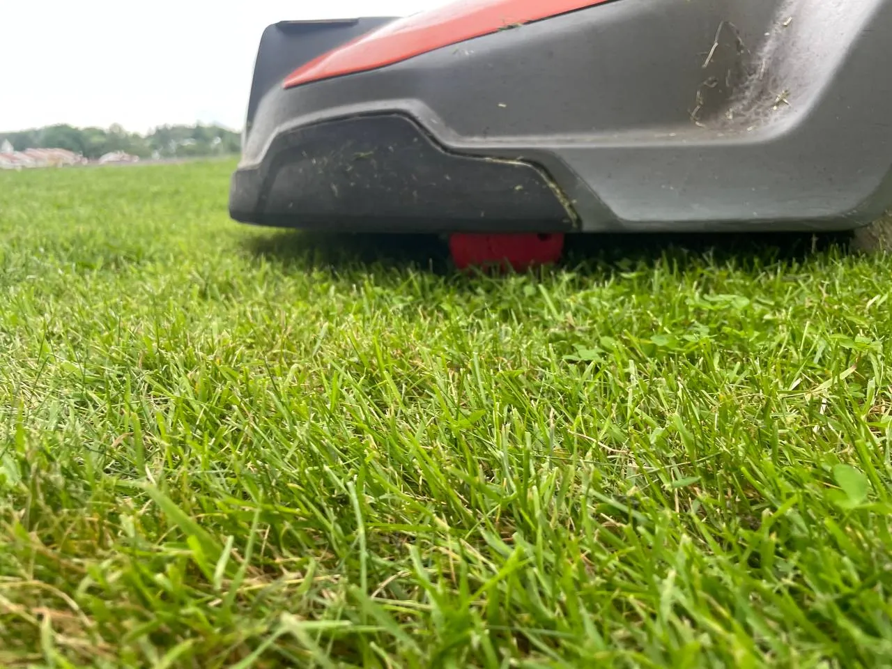 Thay thế bánh trước cho máy cắt cỏ Husquarna Automower