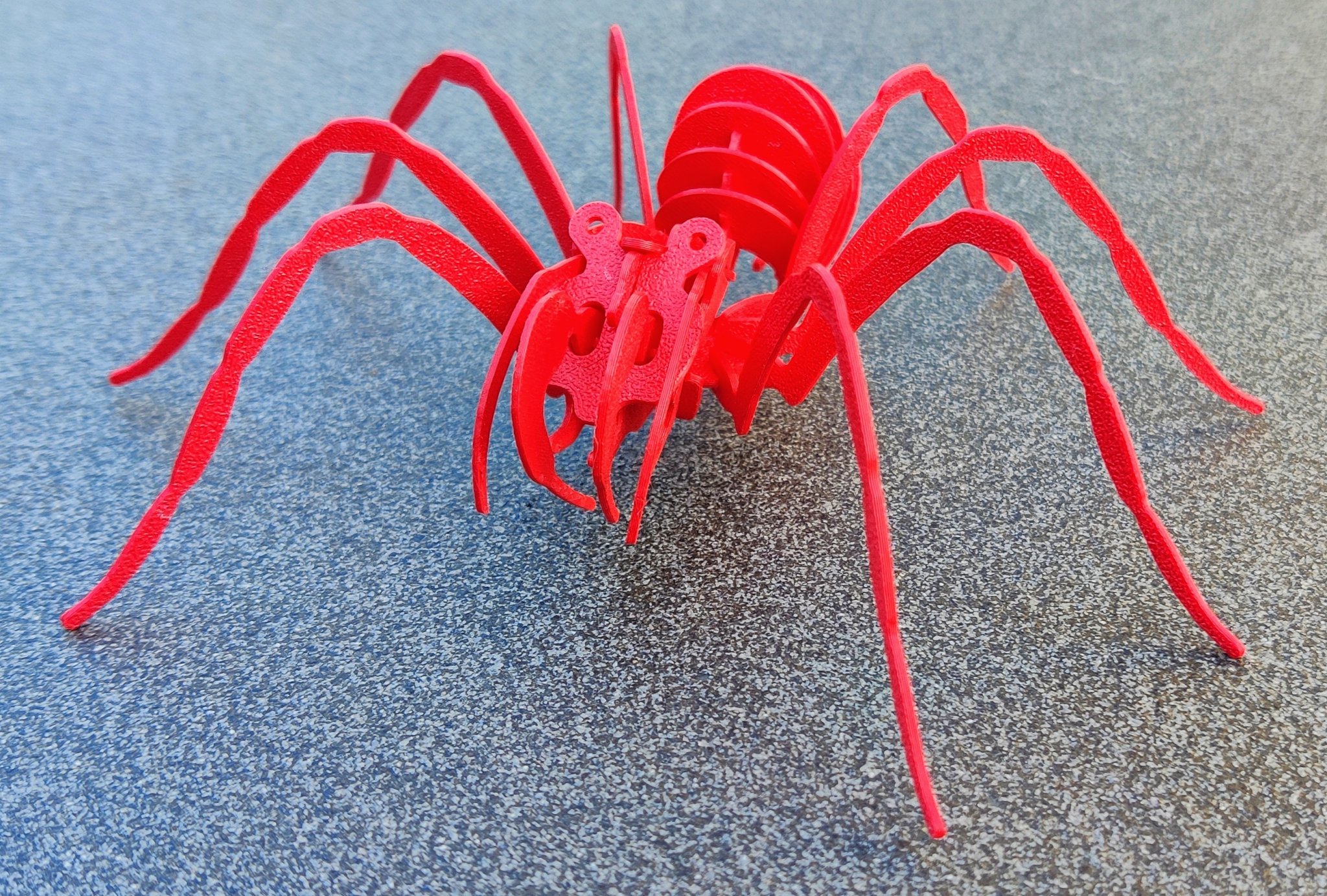 Câu đố SPIDER cho trẻ em