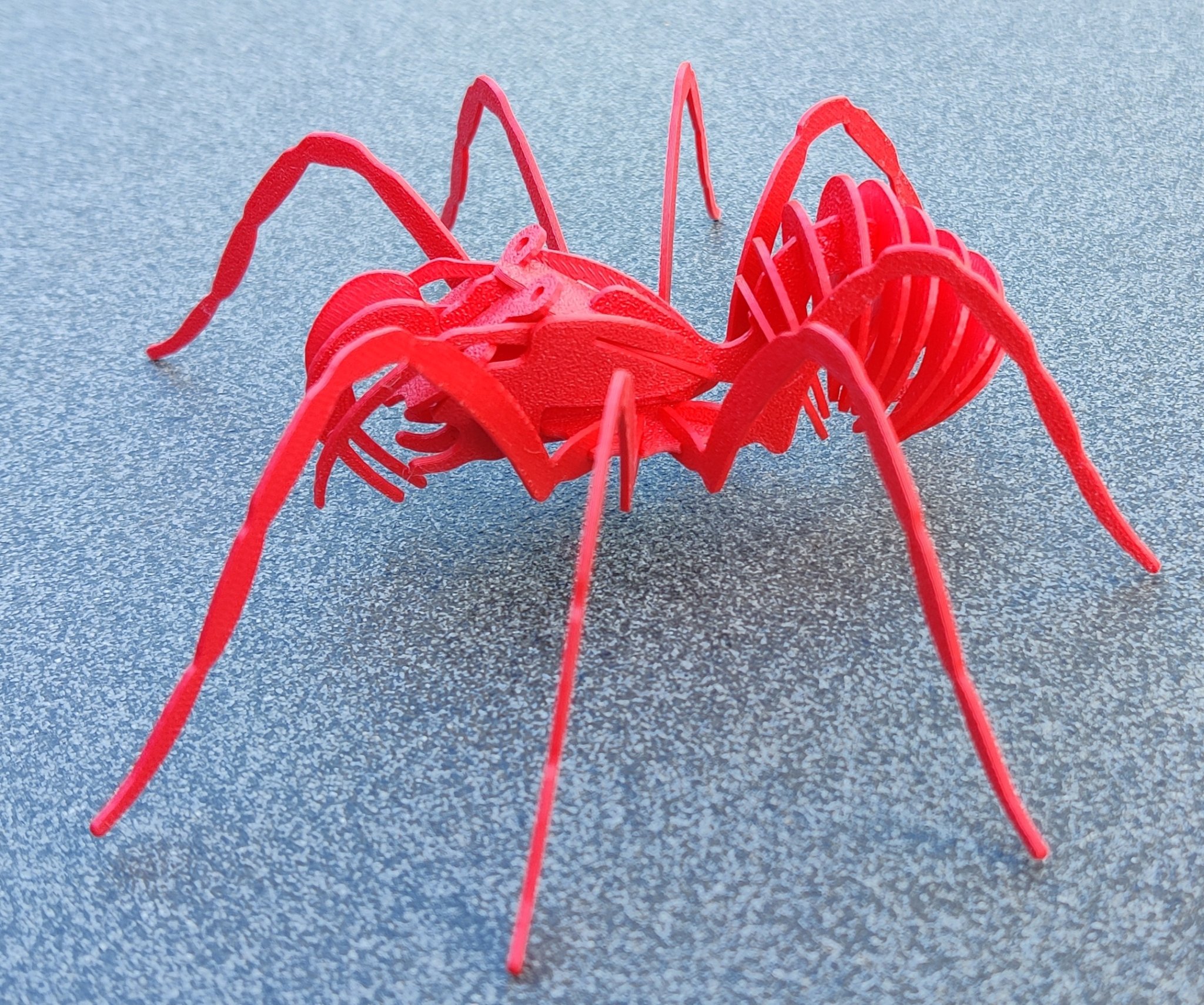 Câu đố SPIDER cho trẻ em